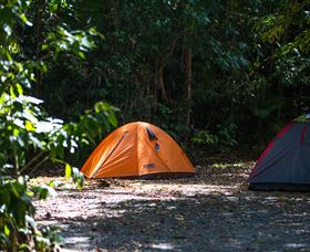 Jungle Lodge - Tourism Canberra 1