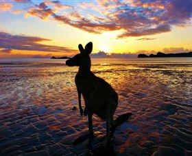 Cape Hillsborough QLD Tourism Canberra