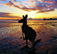 Cape Hillsborough Nature Tourist Park - Tourism Canberra