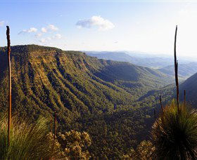O'Reilly's Rainforest Retreat - Tourism Canberra 3