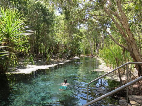 Bitter Springs Cabins And Camping - Tourism Canberra 6