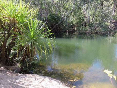 Bitter Springs Cabins And Camping - Tourism Canberra 7