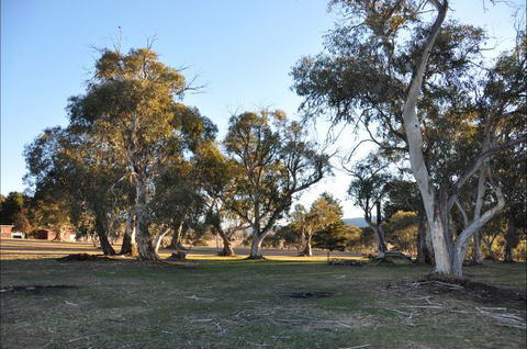 Braemar Bay Holiday Park - Tourism Canberra 5