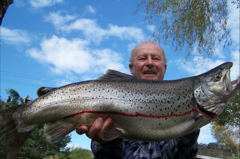 Braemar Bay Holiday Park - Tourism Canberra 7