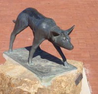 The Ardlethan Kelpie Caravan Park - Tourism Canberra
