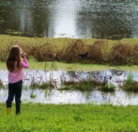 Wilga Hotel - Tourism Canberra