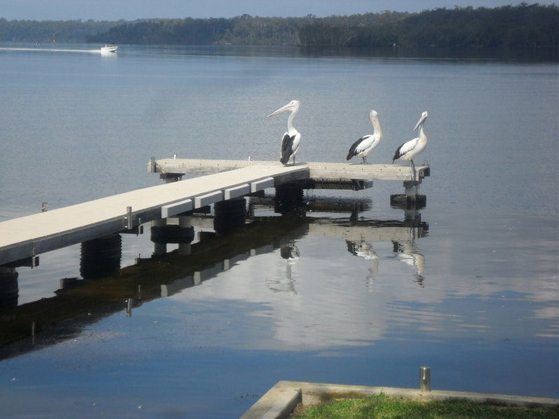 Basin View NSW Tourism Canberra