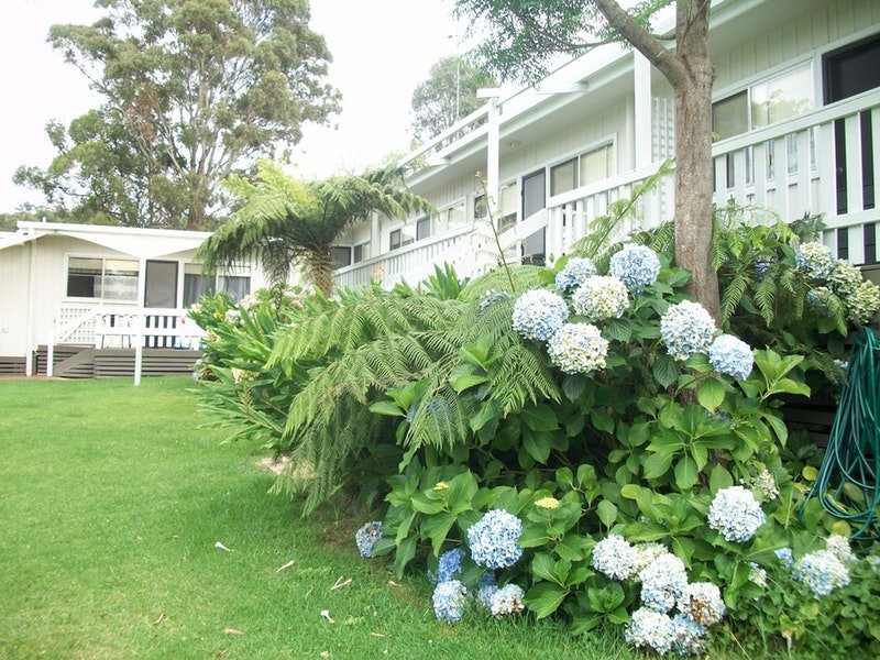 Millingandi NSW Tourism Canberra