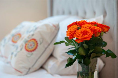 The Nest At Gundaroo - Tourism Canberra 0