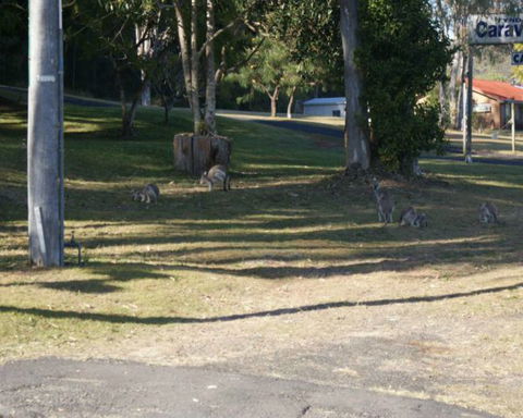 Tyndale Tourist Park & Roadhouse - Tourism Canberra 3