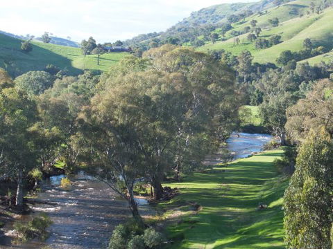 Yellowbox Cottage - Tourism Canberra 9