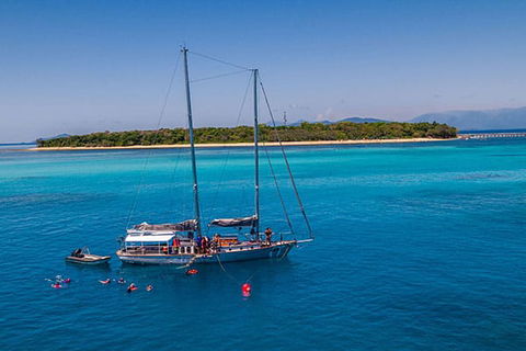 Ocean Free And Ocean Freedom - Cairns Premier Reef And Island Tours - Tourism Canberra 3