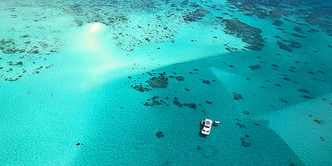 Ocean Free And Ocean Freedom - Cairns Premier Reef And Island Tours - Tourism Canberra 0
