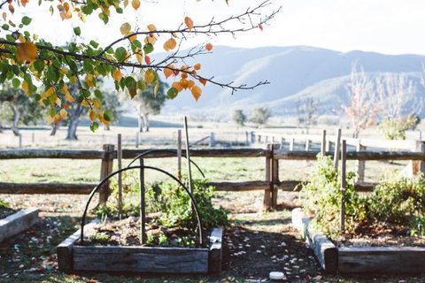 Alpine Edge Accommodation - Tourism Canberra 5