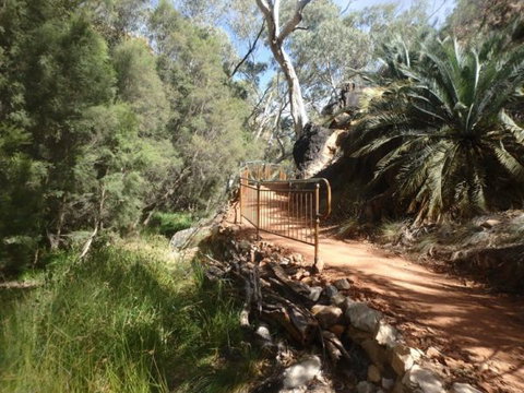 Standley Chasm Angkerle Camping - Tourism Canberra 7