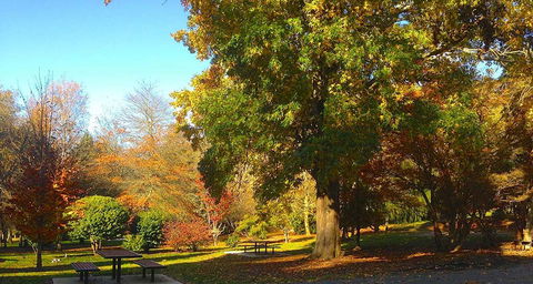 Eastern Dandenong Ranges Visitor Information Centre - Tourism Canberra 1