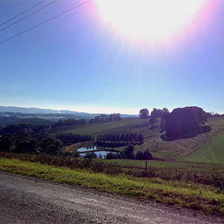 Eastern Dandenong Ranges Visitor Information Centre - Tourism Canberra 9