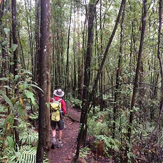 Eastern Dandenong Ranges Visitor Information Centre - Tourism Canberra 11