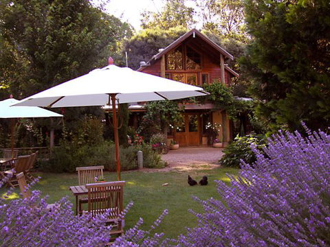 Lavender Hue - Tourism Canberra 0