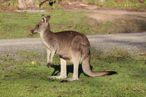 Mackey's Peak Villas - Tourism Canberra 6