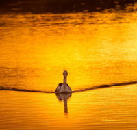River Shack Rentals - Living the Dream - Tourism Canberra