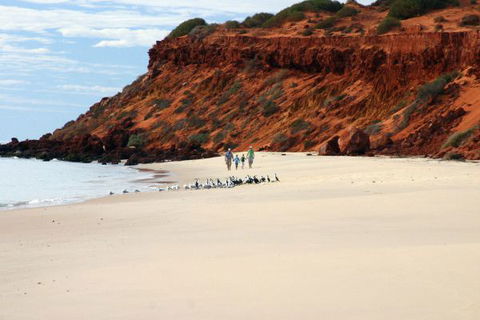 Herald Bight Camp At Francois Peron National Park - Tourism Canberra 0