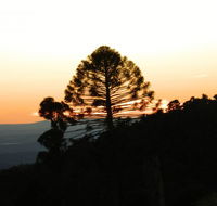 Bunya Mountains Accommodation Centre - Tourism Canberra