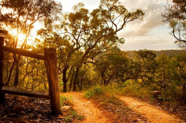 Blaxlands Ridge NSW Tourism Canberra