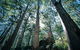 Point Road Camp At Leeuwin-Naturaliste National Park - thumb 1