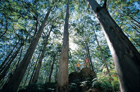 Point Road Camp At Leeuwin-Naturaliste National Park - Tourism Canberra 1