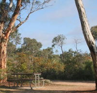 Drummonds Camp at Avon Valley National Park - Tourism Canberra