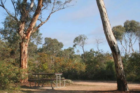 Drummonds Camp At Avon Valley National Park - Tourism Canberra 0