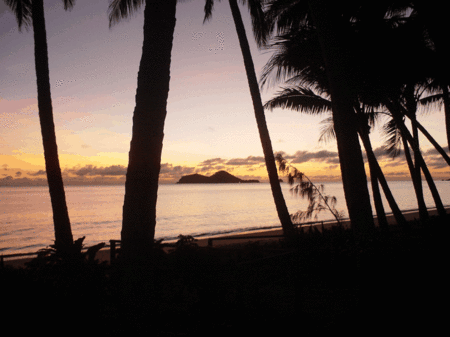 Ellis Beach Oceanfront Bungalows - Tourism Canberra 1