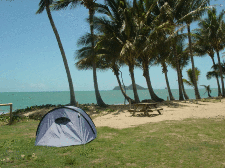Ellis Beach Oceanfront Bungalows - Tourism Canberra 2