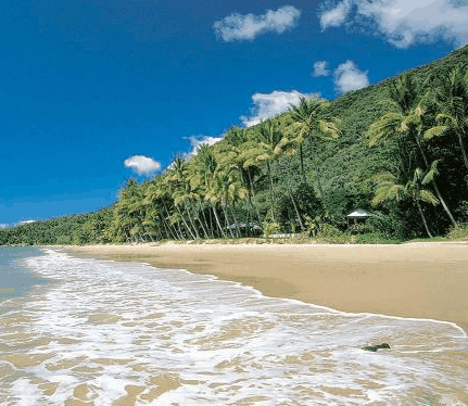 Ellis Beach Oceanfront Bungalows - Tourism Canberra 3
