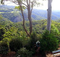 Mt Tamborine Motel - Tourism Canberra