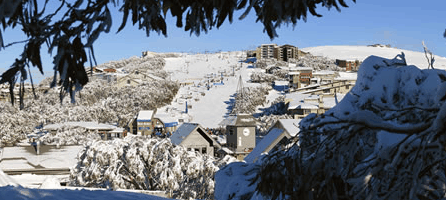 Alpine Ridge Lodge - Tourism Canberra