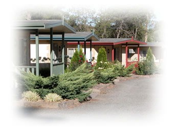 Kapunda Tourist Park - Tourism Canberra 1