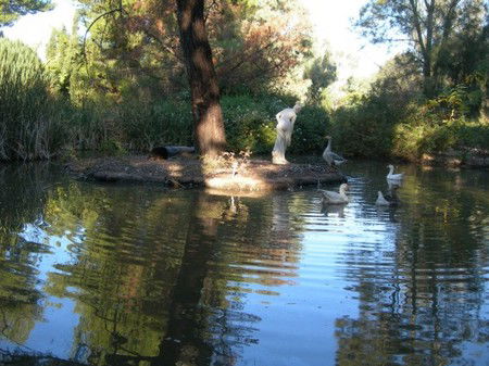 Lyndoch Hill Retreat - Tourism Canberra 2