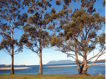 Island View Motel - Tourism Canberra 3