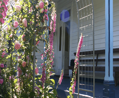 Devonport Bed And Breakfast - Tourism Canberra