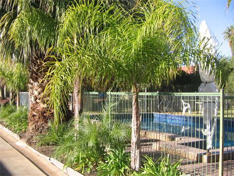 Orana Motor Inn - Tourism Canberra 8