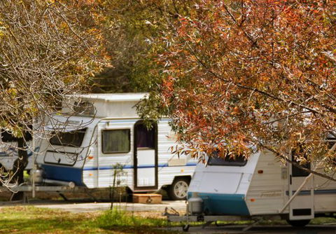 BIG4 Dandenong Tourist Park - Tourism Canberra 1