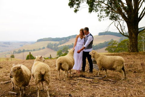 Halcyon Cottage Retreat - Self Contained Accommodation - Tourism Canberra 2