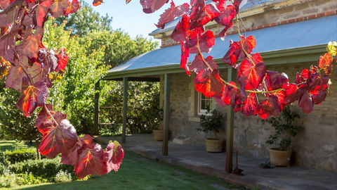 Grand Cru Estate Homestead - Tourism Canberra 0