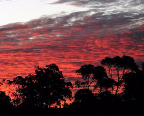 'The Dales' Boutique Bed And Breakfast - Tourism Canberra 8