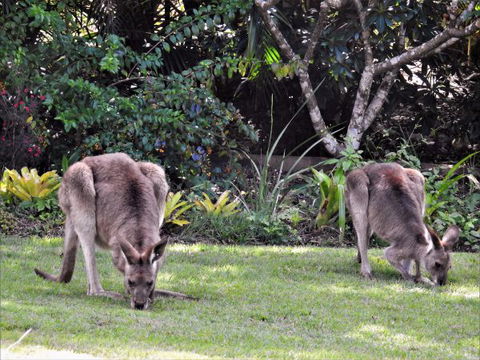 'The Dales' Boutique Bed And Breakfast - Tourism Canberra 9