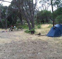 Allports Beach Camping Ground - Tourism Canberra