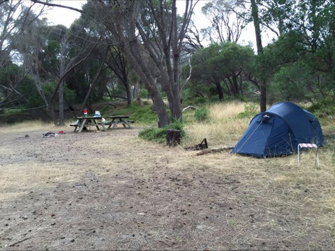 Allports Beach Camping Ground - Tourism Canberra 0