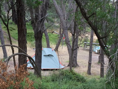 Allports Beach Camping Ground - Tourism Canberra 5